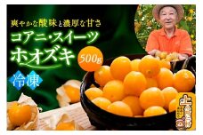 《冷凍》コアニ・スイーツホオズキ 500g ほおずき ゴールデンベリー スーパーフード たじゅうろう農園