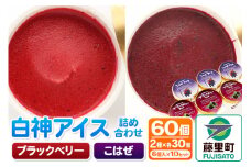 白神アイス詰合せ 合計60個 6個入×10セット ブラックベリー×30個 こはぜ×30個