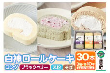 白神ロールケーキ（ロング）詰合せ 合計30本 そば こめっこ ブラックベリー 3種×各10本 ケーキ スイーツ