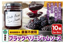 ブラックベリージャムソース 合計10個 2個入×5セット