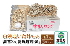 白神まいたけセット（舞茸2株、乾燥舞茸30g）約1kg
