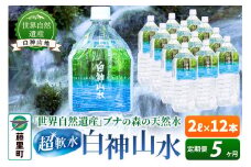 【定期便5ヶ月】白神山水（2L×12本） 水 ミネラルウォーター
