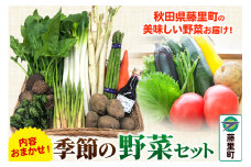 季節 の 野菜 セット (内容お任せ)【8月より発送開始】秋田県 藤里町