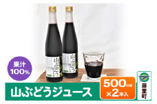 山ぶどうジュース 500ml×2本 フルーツ 果物