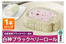 白神ブラックベリーロール（ロング）1本 ロールケーキ
