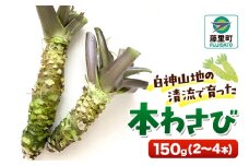 本わさび 150g（2～4本）ワサビ 山葵 世界自然遺産 白神山地