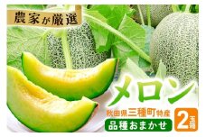 三種町特産 品種お任せ メロン 2玉箱