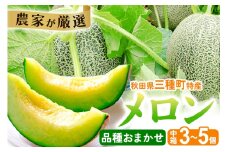 三種町特産 品種お任せ メロン 詰合せ 中箱 3～5個