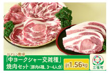 かわい農場「中ヨークシャー交雑種」焼肉セットA（豚肉4種類、3～4人分） しっぽ豚