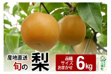 《先行受付》今が旬！ 梨 6kg 【品種、サイズおまかせ】 産地直送 和梨
