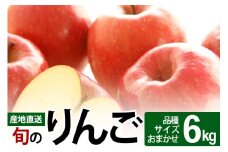 《先行受付》旬のりんご 6kg (品種、サイズおまかせ)  (11～12月頃発送) ご自宅向け 産地直送 リンゴ 林檎 フルーツ