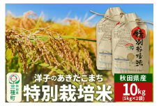 洋子の あきたこまち 特別栽培米 10kg(5kg×2袋) 秋田県産 【白米】 令和6年産