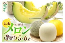 旬のメロン詰合せ 大箱 5玉～6玉 果物 フルーツ 秋田県産