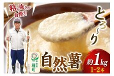 自然薯 約1kg（1～2本） 秋田県三種町産
