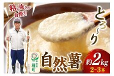 自然薯 約2kg（2～3本） 秋田県三種町産
