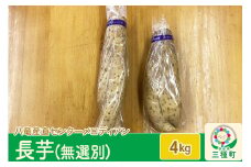 長芋4kg（無選別）