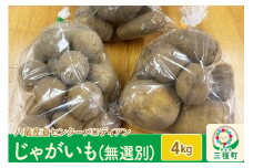 じゃがいも4kg（無選別）（品種食べ比べセット）