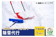 除雪代行サービス（1時間分）※チケット等の発送はありません。