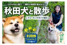 秋田犬と散歩 利用券【小人1人（12歳まで）】ウォーキングガイド同行