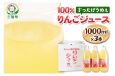 りんごジュース 1,000ml×3本 果汁100％ ストレート