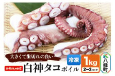 白神タコ ボイル 約1kg（2～3パック）冷凍 秋田県八峰町沖産