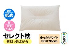 セレクト枕 そばがら ゆったりワイド 低め 中央くぼみタイプ