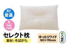 セレクト枕 そばがら ゆったりワイド 普通 中央くぼみタイプ