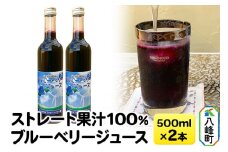 ストレート果汁100％ブルーベリージュース 500ml×2本