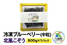 冷凍ブルーベリー(中粒)「北風こぞう」 800g×1パック