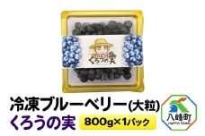 冷凍ブルーベリー(大粒)「くろうの実」 800g×1パック