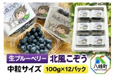 【2025年収穫先行受付】生ブルーベリー(中粒)「北風こぞう」 100g×12パック