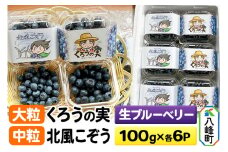 【2025年収穫先行受付】生ブルーベリー(大粒)「くろうの実」＆(中粒)「北風こぞう」セット 各100g×6パック 計12パック