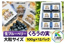 【2025年収穫先行受付】生ブルーベリー(大粒)「くろうの実」 100g×12パック