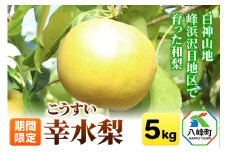 梨 幸水 5kg【期間限定】 白神山地峰浜沢目地区で育った和梨