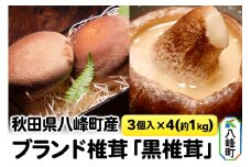 秋田県八峰町産 ブランド椎茸「黒椎茸」3個入×4パック（約1kg）