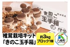 椎茸栽培キット「きのこ玉手箱」約3kg ブロック×1個