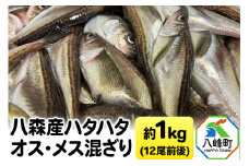 八森産ハタハタ オス・メス混ざり 約1kg(12尾前後) 秋田県産