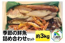 季節の鮮魚詰め合わせセット 約3kg 高級魚 鮮度抜群