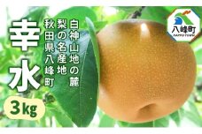 梨 幸水 3kg 白神山地の麓 峰浜の梨 笠原果樹園