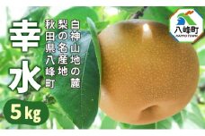 梨 幸水 5kg 白神山地の麓 峰浜の梨 笠原果樹園
