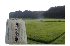 内川さわだ米(あきたこまち精米)5kg 秋田県五城目町産