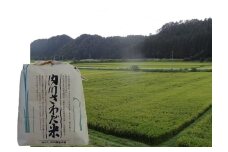 内川さわだ米(あきたこまち精米)5kg 秋田県五城目町産