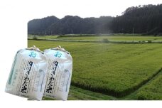 一等米・内川さわだ米（あきたこまち）10kg（精米5kg×2）【秋田県五城目町産】