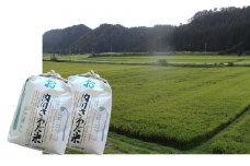 一等米・内川さわだ米（あきたこまち）10kg（精米5kg×2）【秋田県五城目町産】