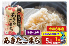 あきたこまち 5kg【5分づき】令和6年産 秋田県産 こまちライン