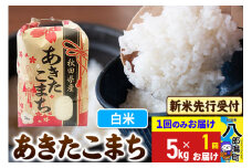 《令和7年産 新米受付》あきたこまち 精米 5kg 秋田県産 こまちライン