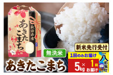 《令和7年産 新米受付》あきたこまち 無洗米 5kg 秋田県産 こまちライン