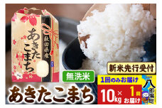 《令和7年産 新米受付》あきたこまち 無洗米 10kg 秋田県産 こまちライン