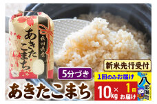 《令和7年産 新米受付》あきたこまち 5分搗き 10kg 秋田県産 こまちライン