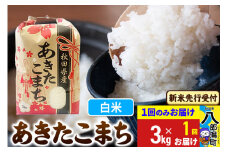 《令和7年産 新米受付》あきたこまち 3kg×1袋【白米】令和7年産 秋田県産 こまちライン